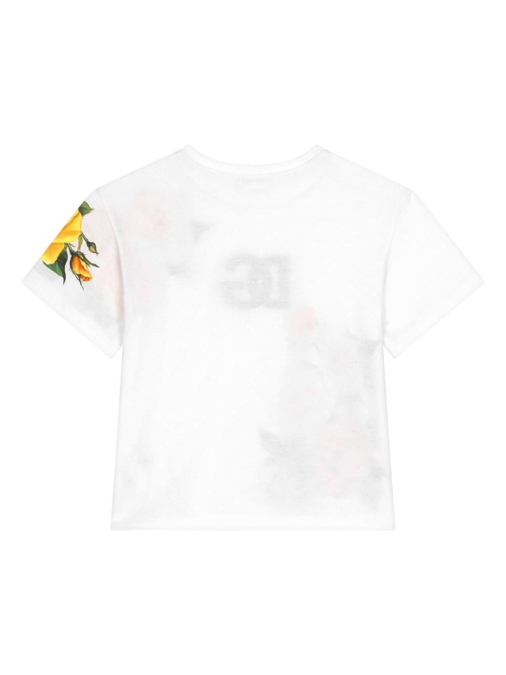 Dolce & Gabbana Kids T-shirt Con Stampa In Multi